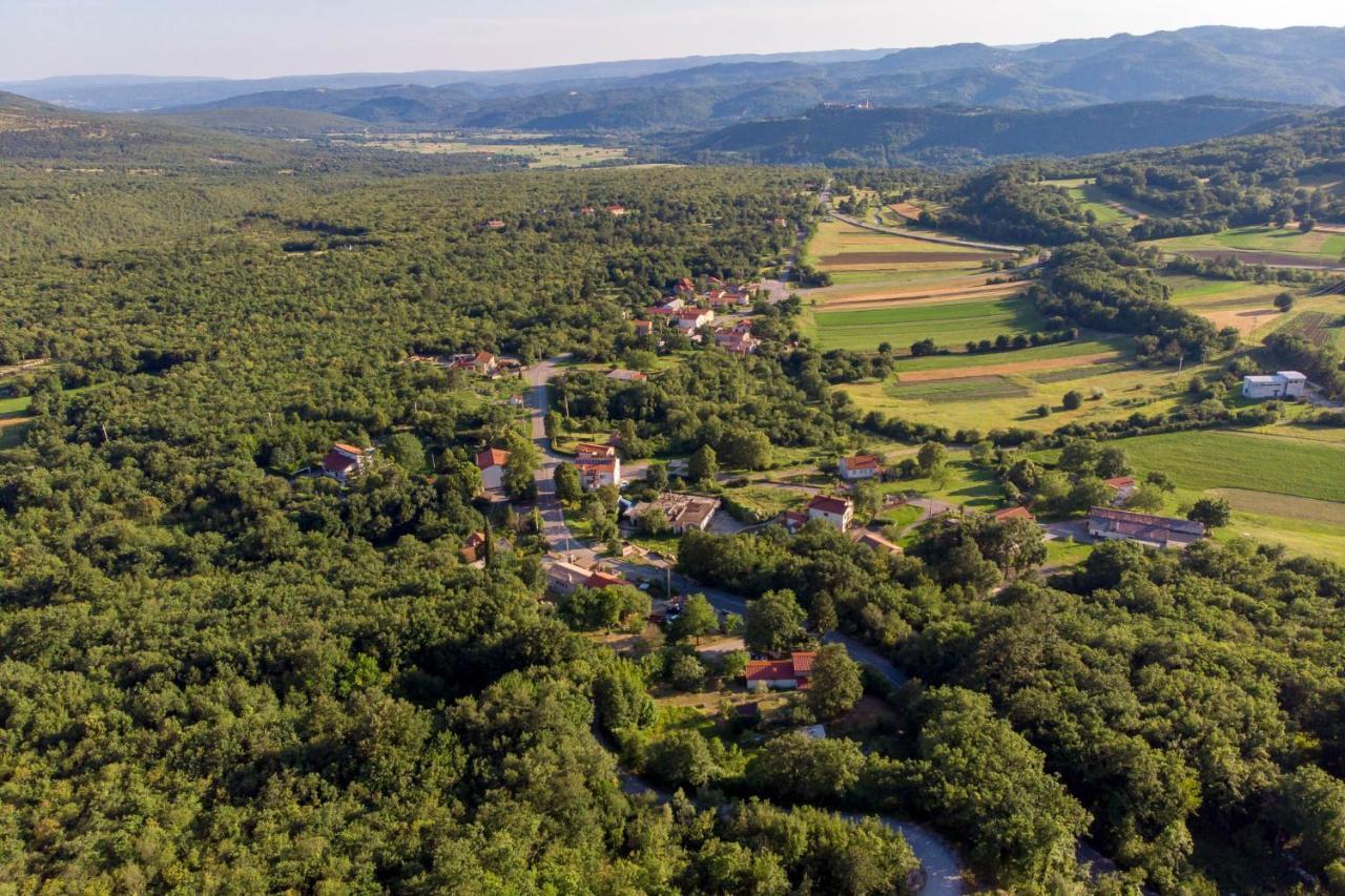 Villa Aurania Vranje Exteriér fotografie